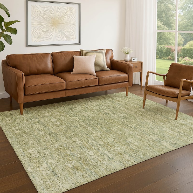 Machine Washable Indoor/ Outdoor Traditional Harmony Chantille Rug