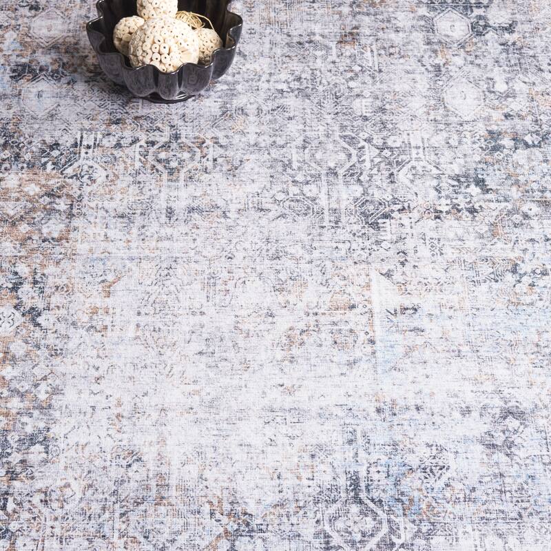 SAFAVIEH Santa Monica Linna Traditional Rug