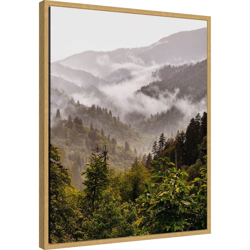 Great Smoky Mountains by Del Mundo Imagery Framed Canvas Wall Art Print - Sylvie Bright Gold