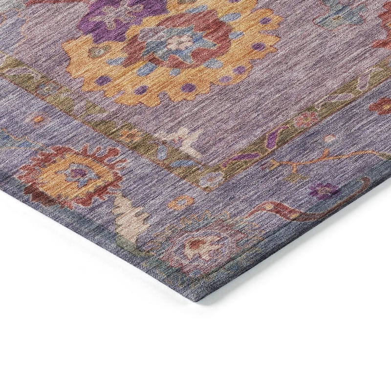 Machine Washable Indoor/ Outdoor Traditional Boho Chantille Rug