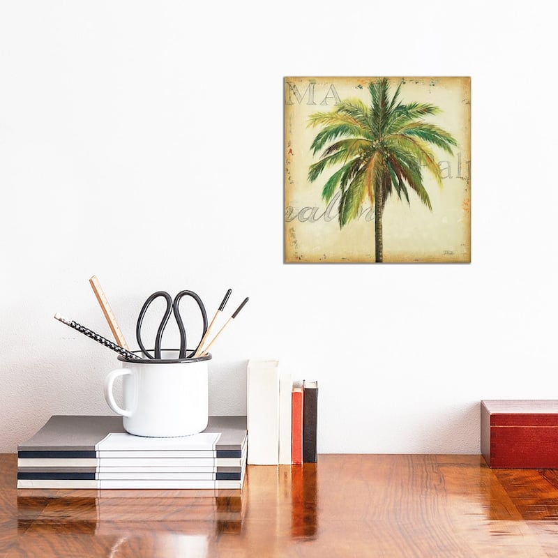 iCanvas "La Palma I" by Patricia Pinto Canvas Print - 12x12x1.5