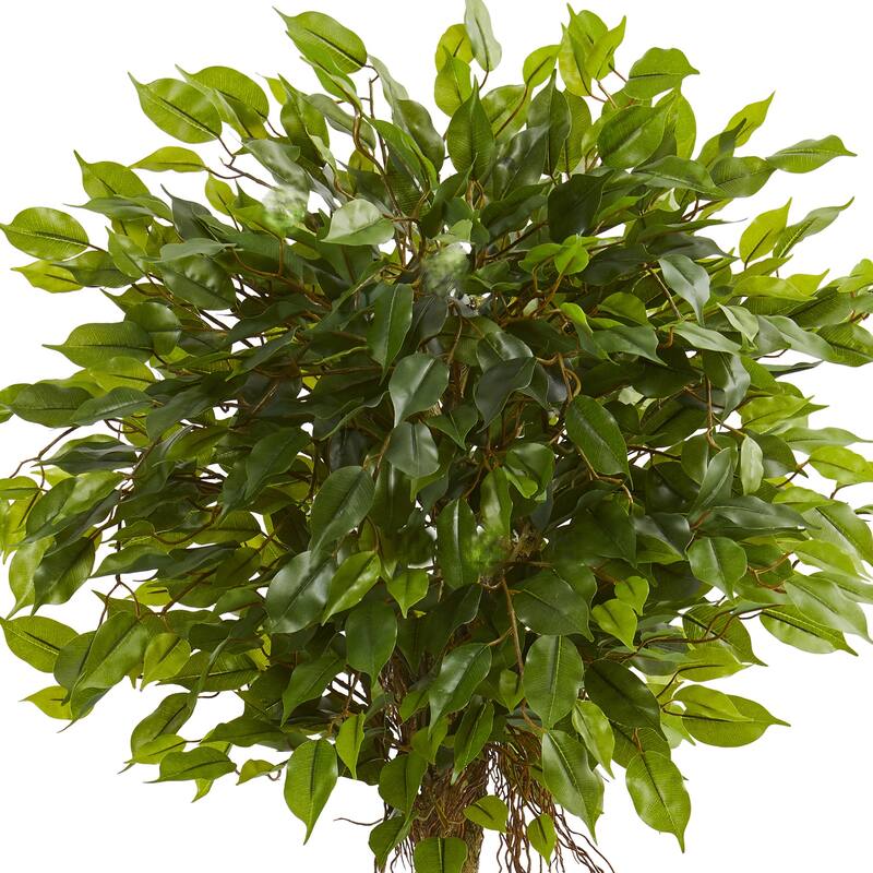 5.5ft Ficus Artificial Tree in White Oval Planter with UV Resistant Lifelike Green Leaves for Seating Area Decoration