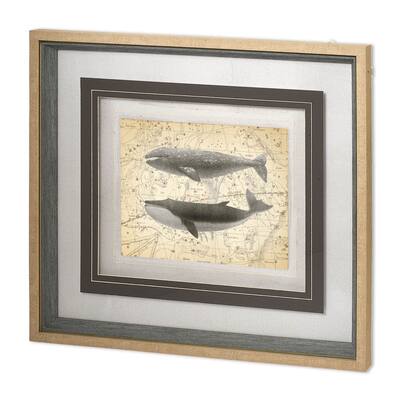 Whale Constellation 2 Framed Art Print