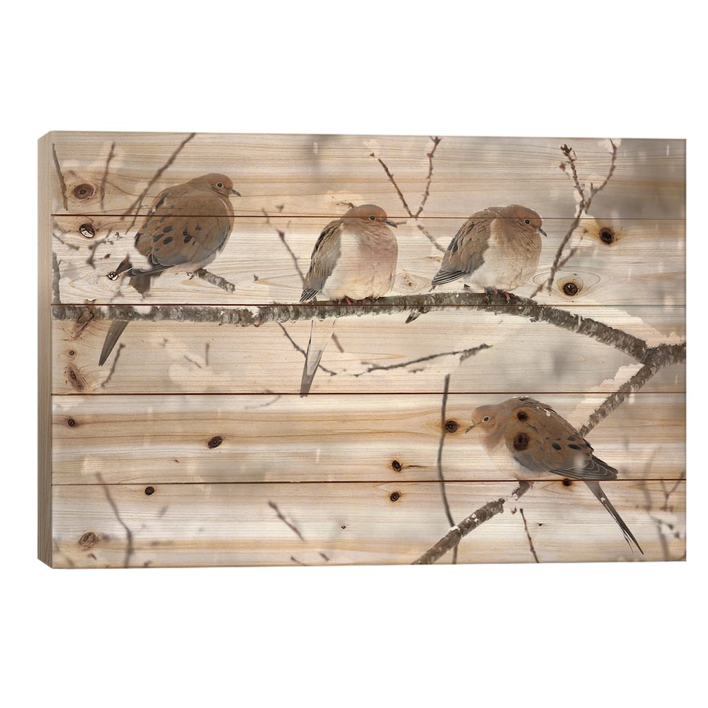 Mourning Dove Group In Winter, Nova Scotia, Canada I Print On Wood by Scott Leslie - Multi-Color