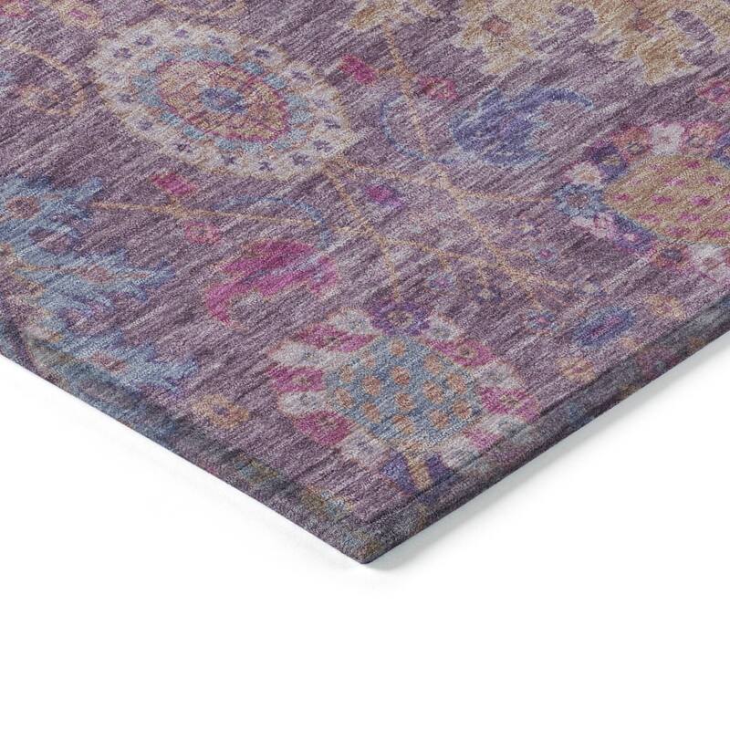 Machine Washable Indoor/Outdoor Boho Traditional Chantille Rug