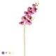 Set of 2 Natural Touch Artificial Phalaenopsis Orchid Flower Stem ...