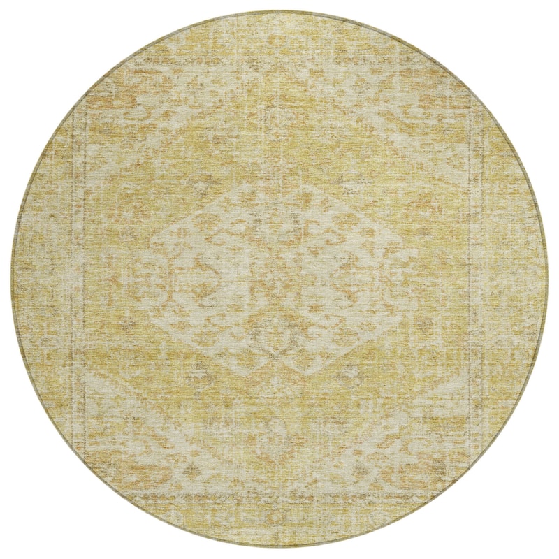 HomeRoots Oriental Traditional Rectangle Outdoor Rug