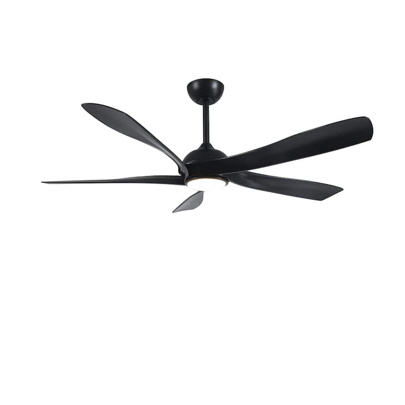 Fergus 5-Blade Lighted Ceiling Fan with LED Lamp with Remote