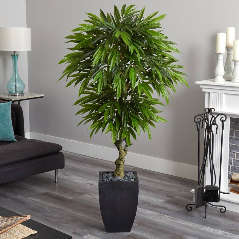 5.5ft Mango Artificial Tree in Black Wash Planter with UV Resistant Green Leaves and Gnarled Trunk for Modern Spaces