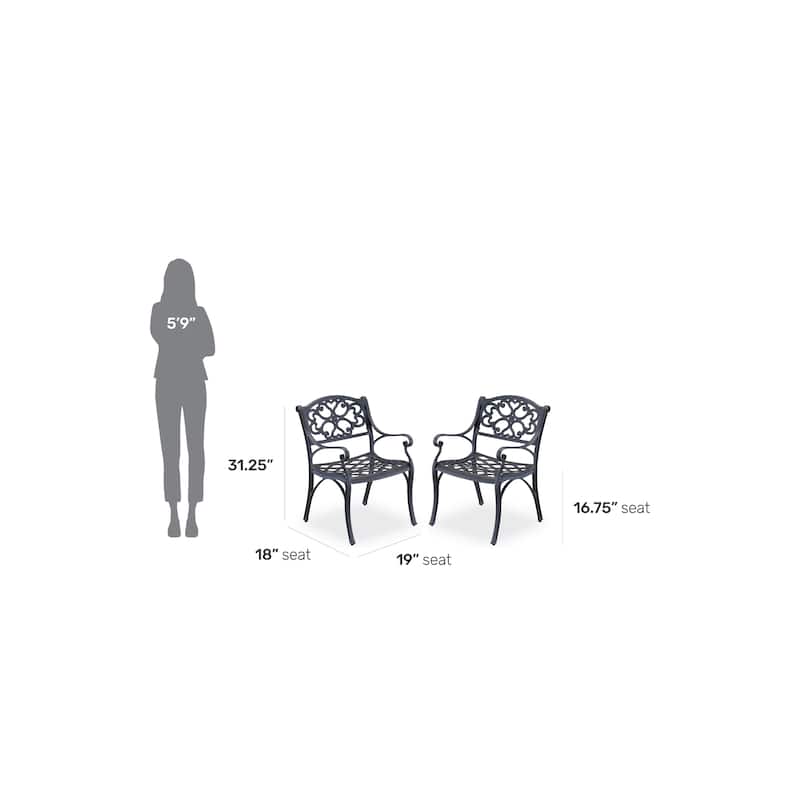 Sanibel Outdoor Chair Pair by Homestyles