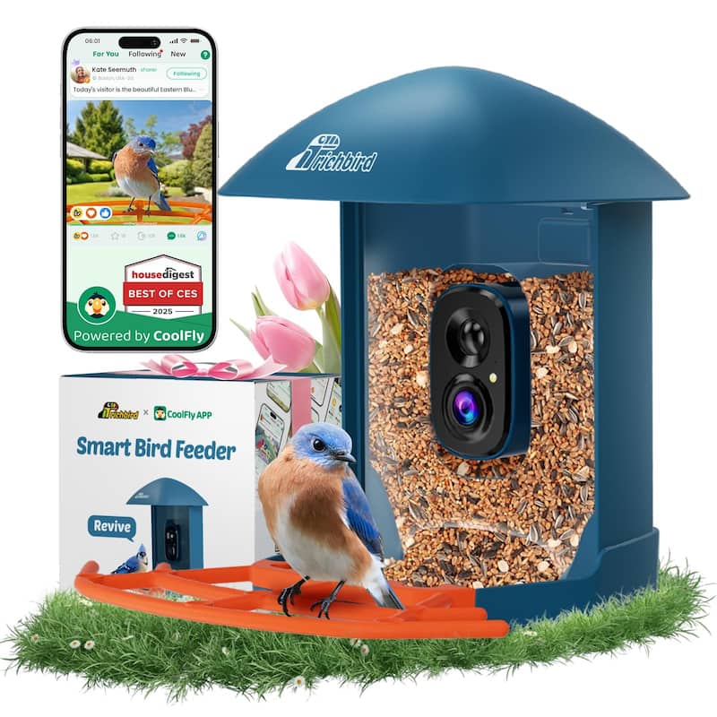Smart Solar Bird Feeder with Camera and Interactive App - Blue/Multi