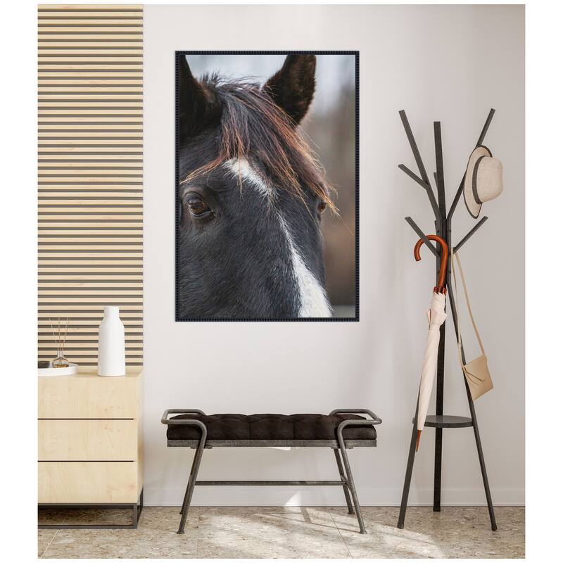 Kate and Laurel Black and White Horse by Emiko and Mark Franzen F2 Images Framed Canvas Wall Art Print