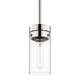 Option Polished Nickel