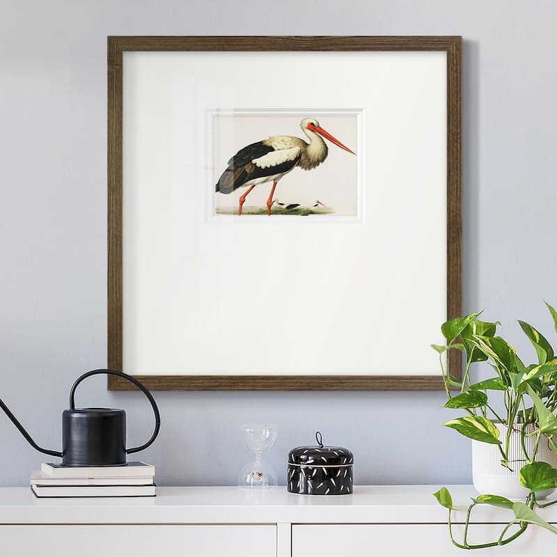 Odd CranePremium Framed Print