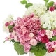 preview thumbnail 3 of 2, Classic Floral Arrangement with Hydrangeas and Ranunculus