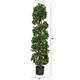 4.5' English Ivy Spiral Topiary with Natural Trunk UV Resistant - 6 ...
