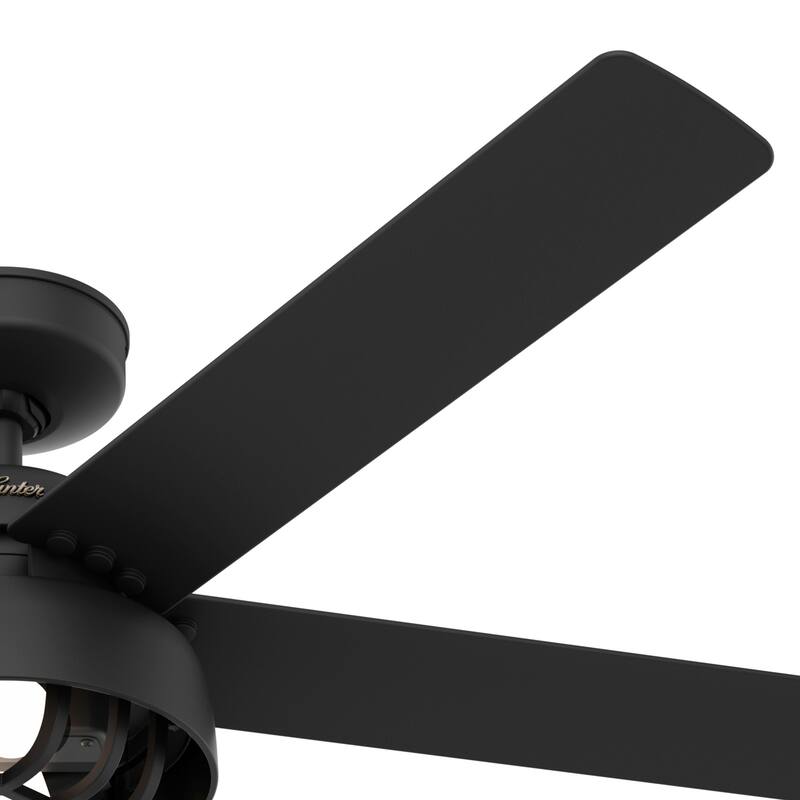 Hunter 52" Autumn Breeze II Ceiling Fan Indoor Outdoor LED Light & Handheld Remote - Industrial, Transitional, Modern, Caged