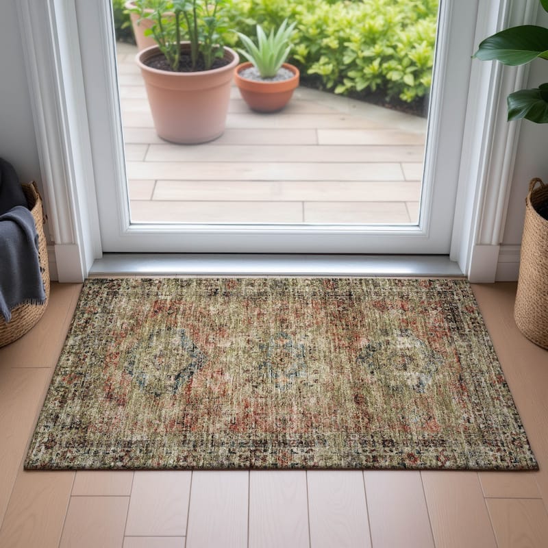 Machine Washable Indoor/Outdoor Vintage Traditional Chantille Rug