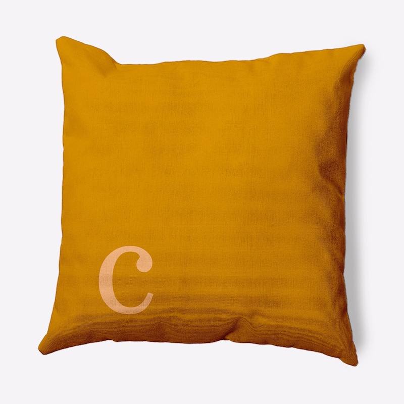 Modern Monogram Decorative Throw Pillow - 16" x 16" - c