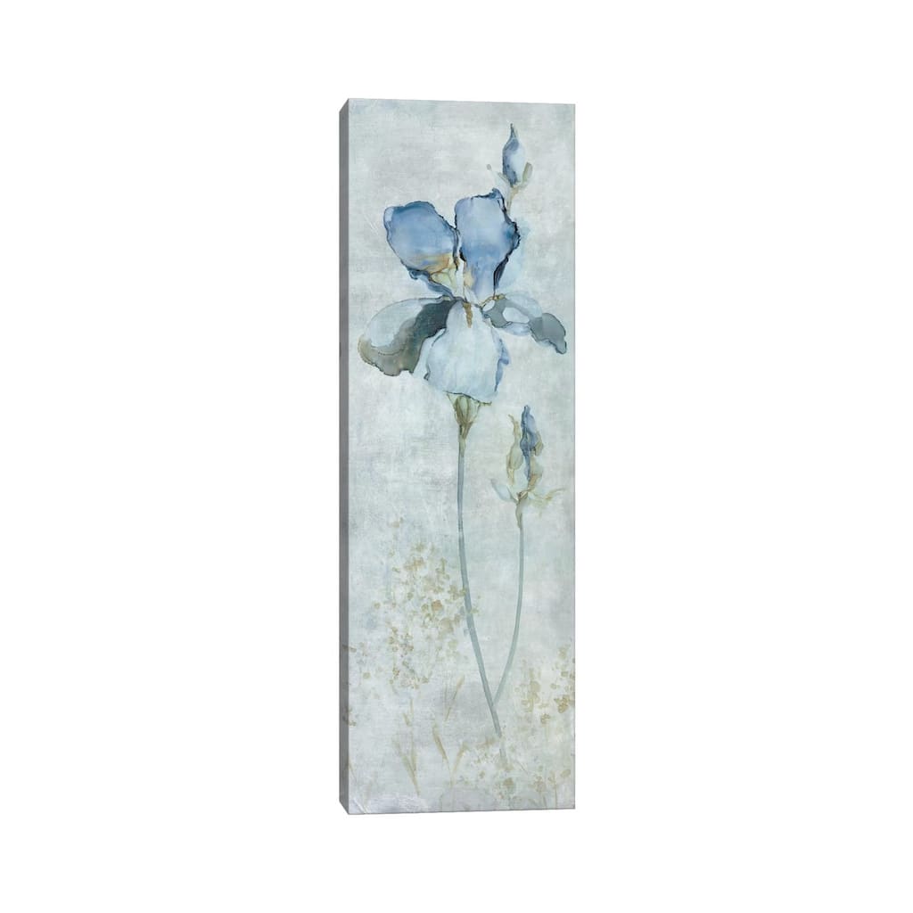 iCanvas "Blue Iris" by Carol Robinson Canvas Print