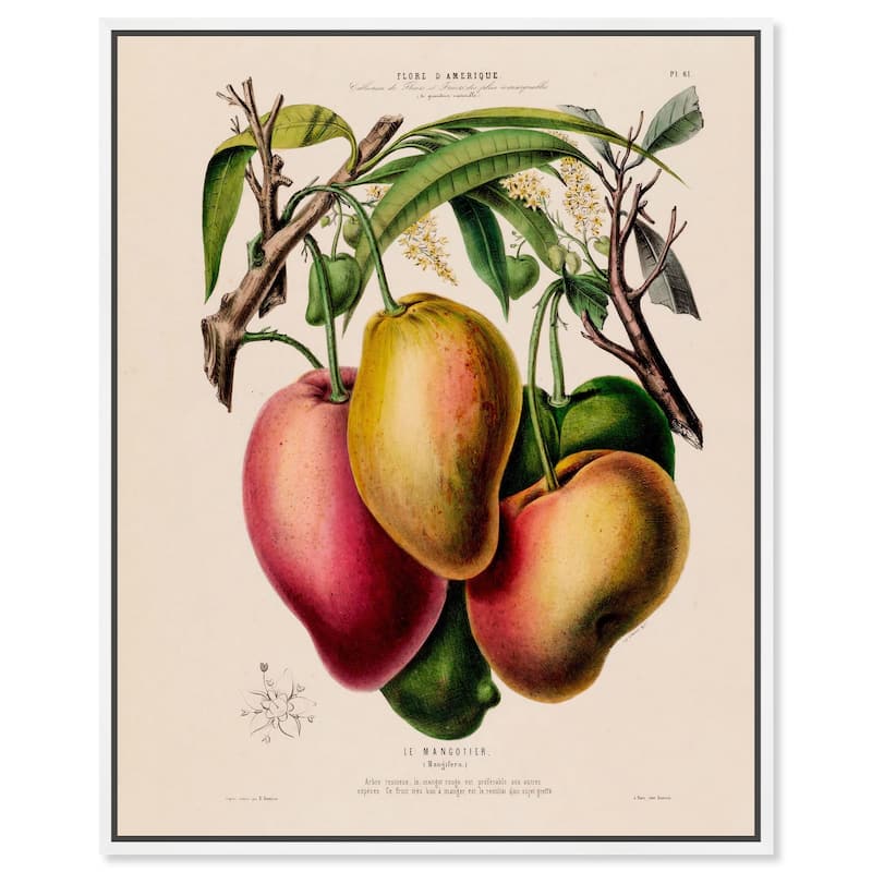 Mangoes by Etienne Denisse Canvas by Art Remedy - White - 16" x 20"