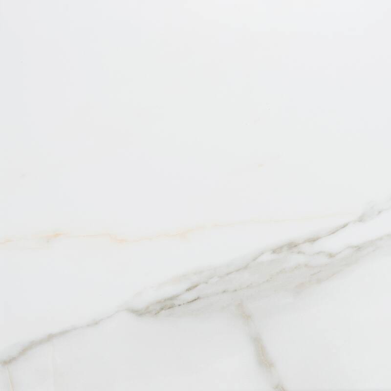 The Tile Life Chronos 13x13 White/ Gold Matte Porcelain Floor & Wall Tile
