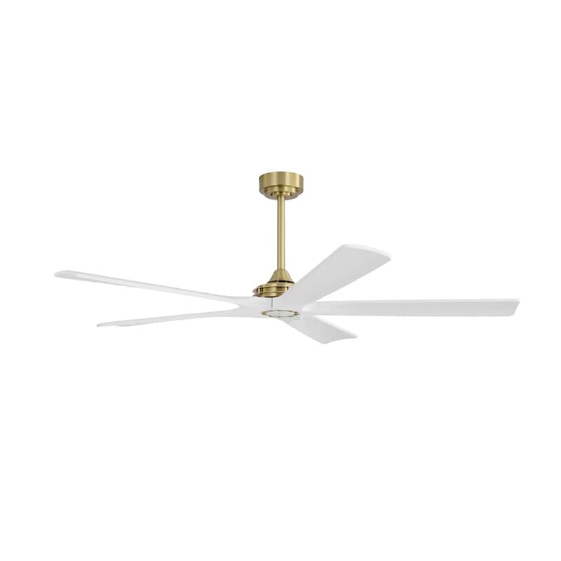 MLiAN 60 in 5-Soild Wood Blades Indoor Standard Ceiling Fan with Remote Down-Rod Mount