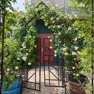 Metal Garden Arch with Gate W58.07xH97.24 Climbing Plants Support Rose ...