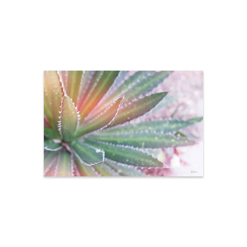 Dream Desert I Print On Acrylic Glass by Sue Schlabach