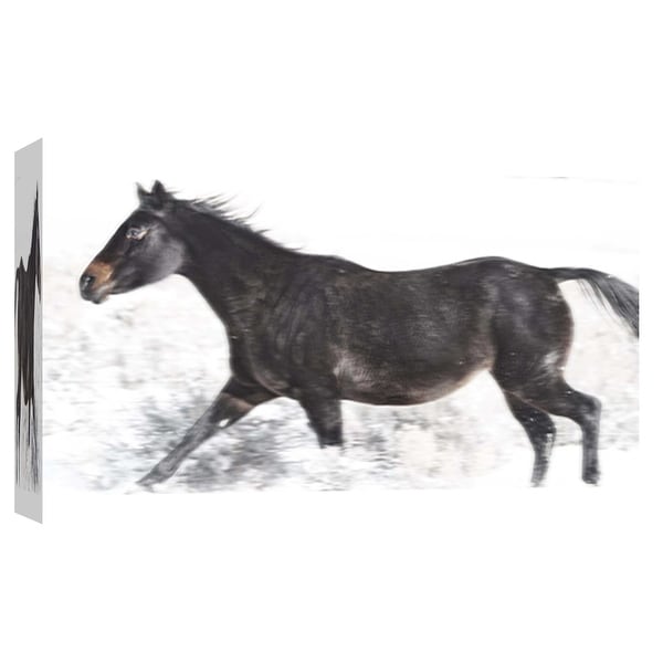 PTM Images 9-101867 PTM Canvas Collection 8" x 10" - "Horse Fort Ranch 19" Giclee Horses Art Print on Canvas
