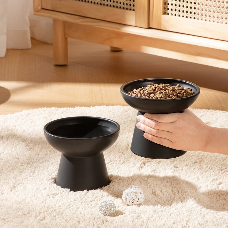vancasso Elevated Stoneware 2-Piece Raised Dog & Cat Bowl Set