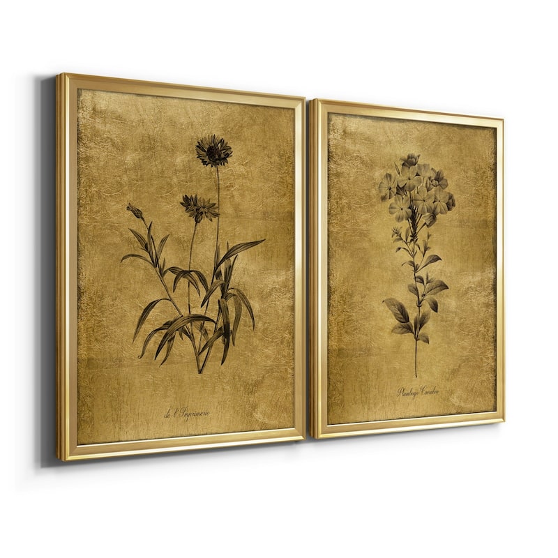 Gold Sketch Botanical I Premium Framed Print - Ready to Hang - Multi-Color