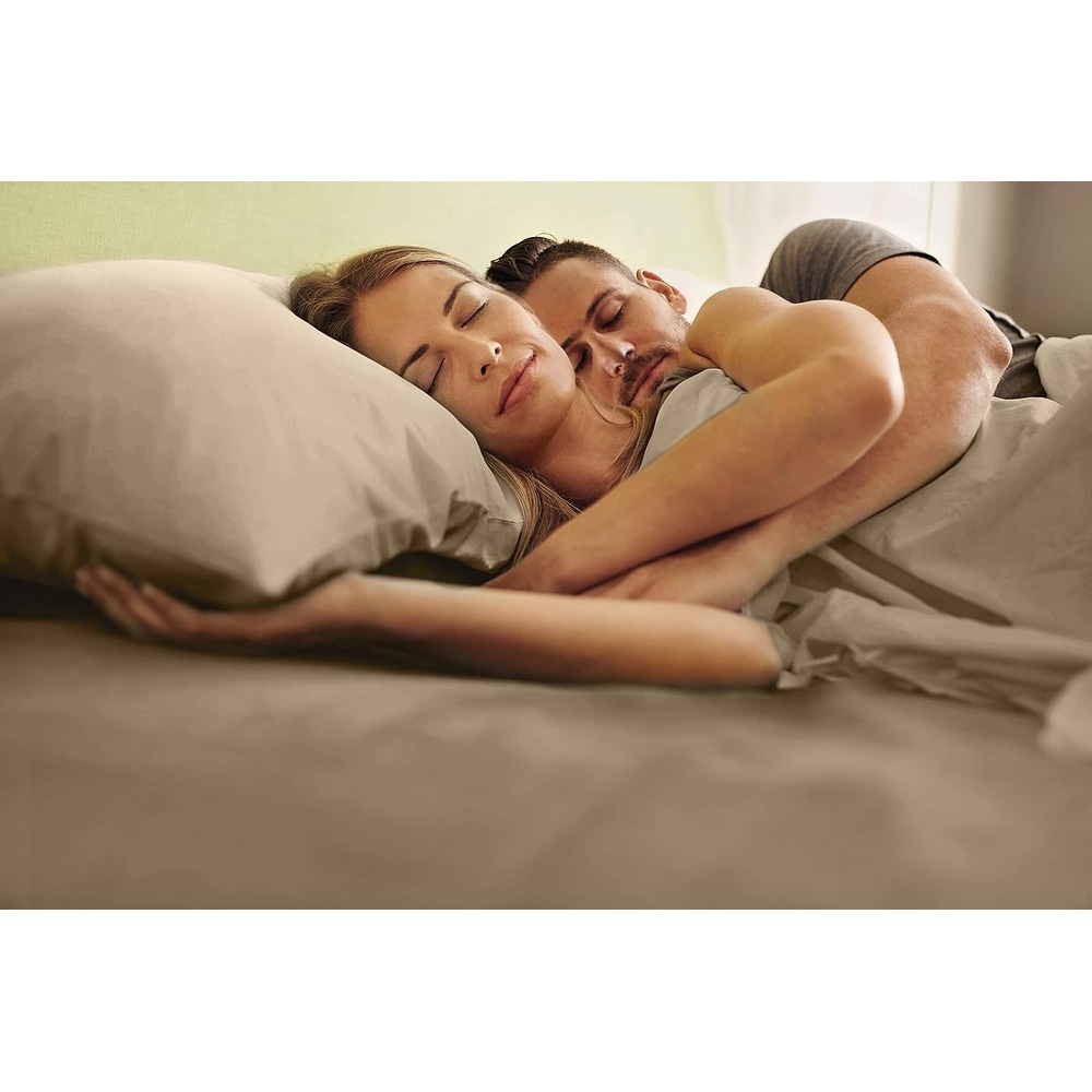 CGK Linens Microfiber 8" - 16" Deep Pocket Soft Fitted Sheet - Picture 29 of 413