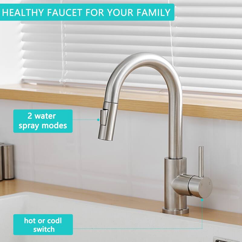 Single-Handle Pull Down Sprayer Kitchen Faucet