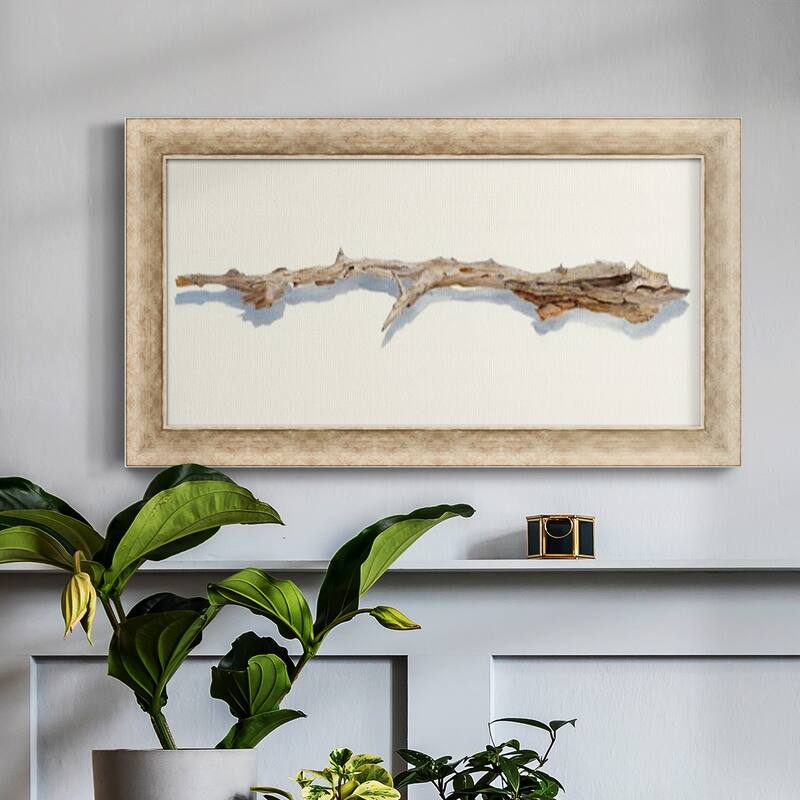 Driftwood Study I Premium Framed Canvas- Ready to Hang