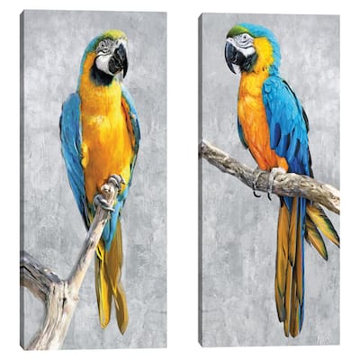 Tropical Parrots-I, Tropical Parrots-II by Studio Arts Canvas Art Prints