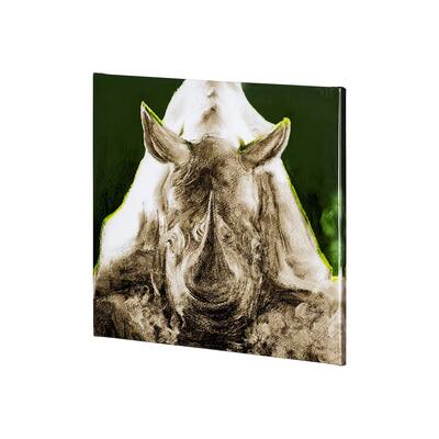 Rhino Green (30 x 30) Canvas Art Print