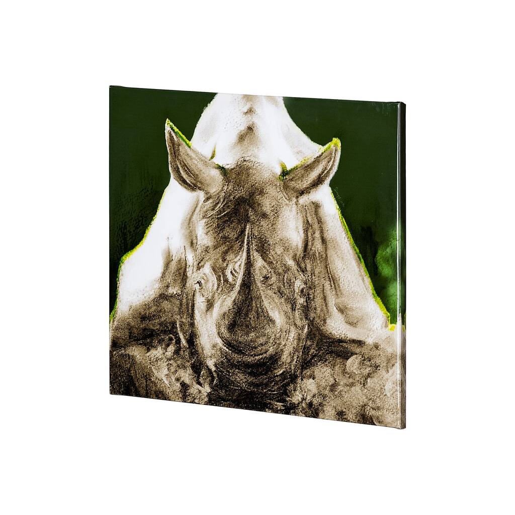 Rhino Green (30 x 30) Canvas Art Print