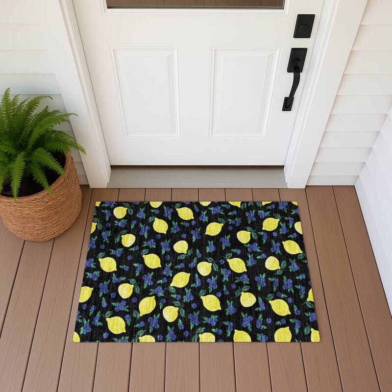 Machine Washable Indoor/ Outdoor Citrus Berry Chantille Rug - Black - 1'8" x 2'6"