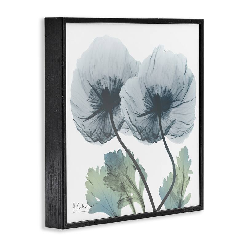 Stupell Double Modern Flower Blossoms Framed Giclee Art Design By Albert Koetsier
