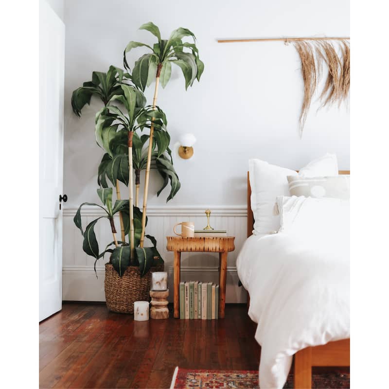 Books Green Decorative Accessories: Savannah Colorpak