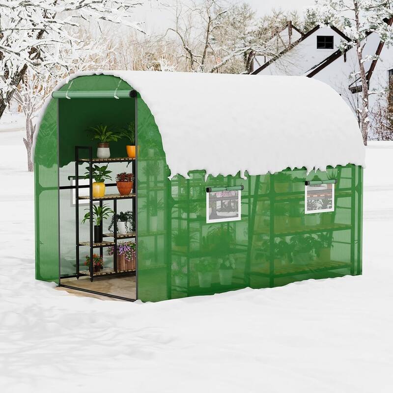 Heavy Duty Walk-in Tunnel Greenhouse Outdoor with Reinforced Frame, Green