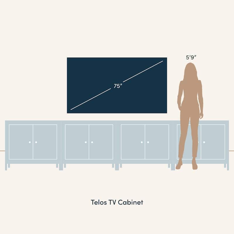 Telos 4-Cube Storage Organizer or TV Stand
