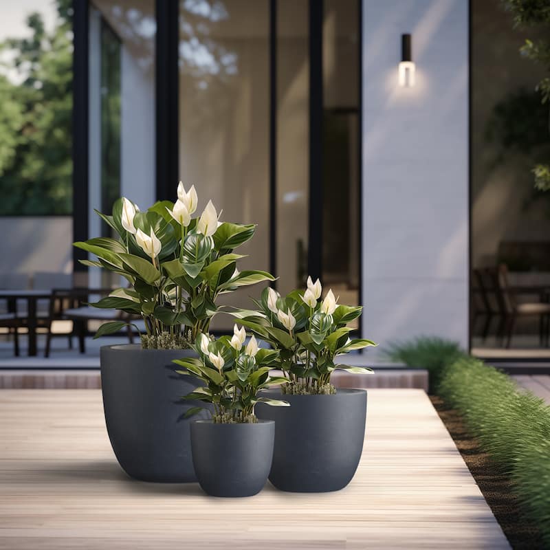 Tall Concrete Round Plant Pots / Large Indoor and Outdoor flower Planters