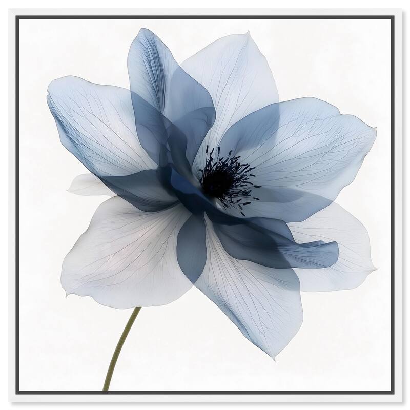 Morning Petalia I Canvas by Art Remedy - White - 24" x 24"