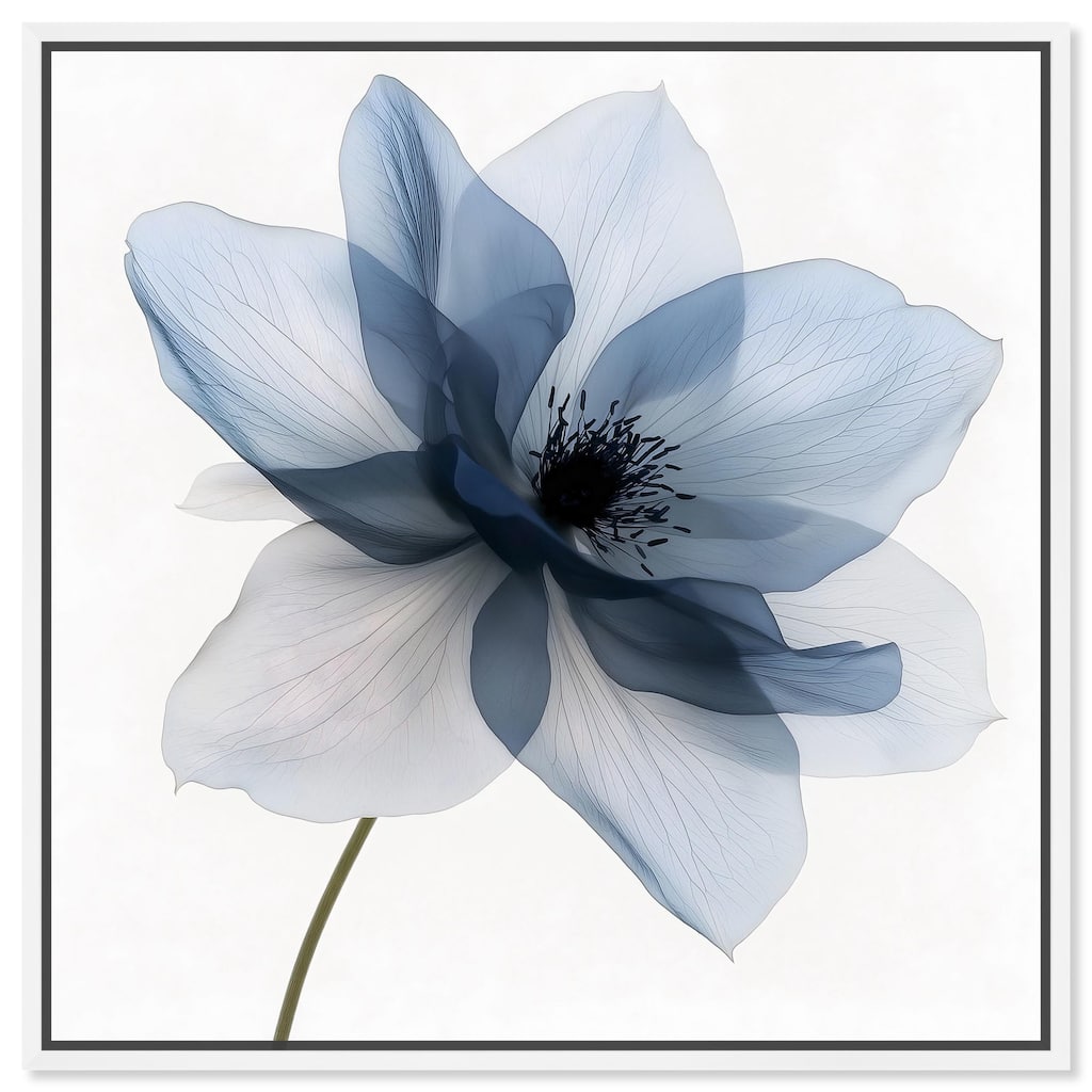 Morning Petalia I Canvas by Art Remedy