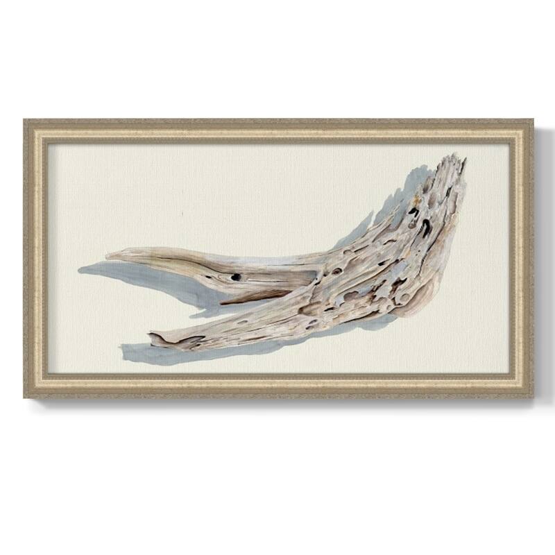 Driftwood Study III Premium Framed Canvas- Ready to Hang