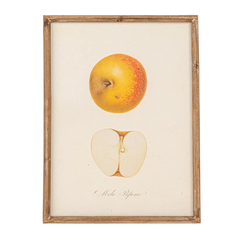 Reclaimed Wood Framed Fruit Print Wall Art