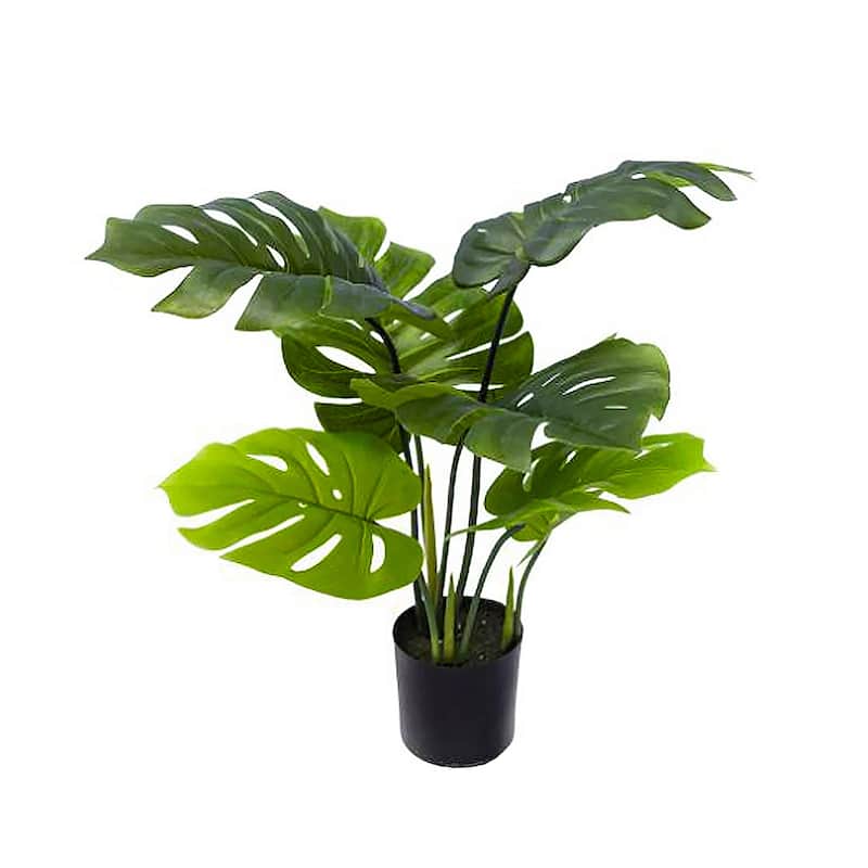 Artificial Split Leaf Philodendron Monstera Plant in Black Pot - 24" H x 27" W x 22" DP - Green