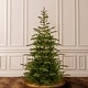 preview thumbnail 2 of 5, National Tree Company 7.5' Norwegian Spruce Christmas Tree - 7.5 Foot